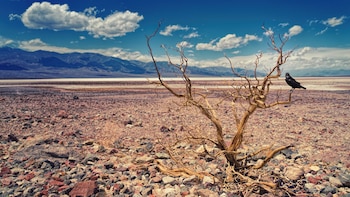 Día Mundial de Lucha contra la Desertificación y la Sequía - Desertificación y la Sequía – Perú – noticias – 17 junio