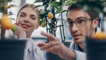 Existen señales eléctricas que comandan