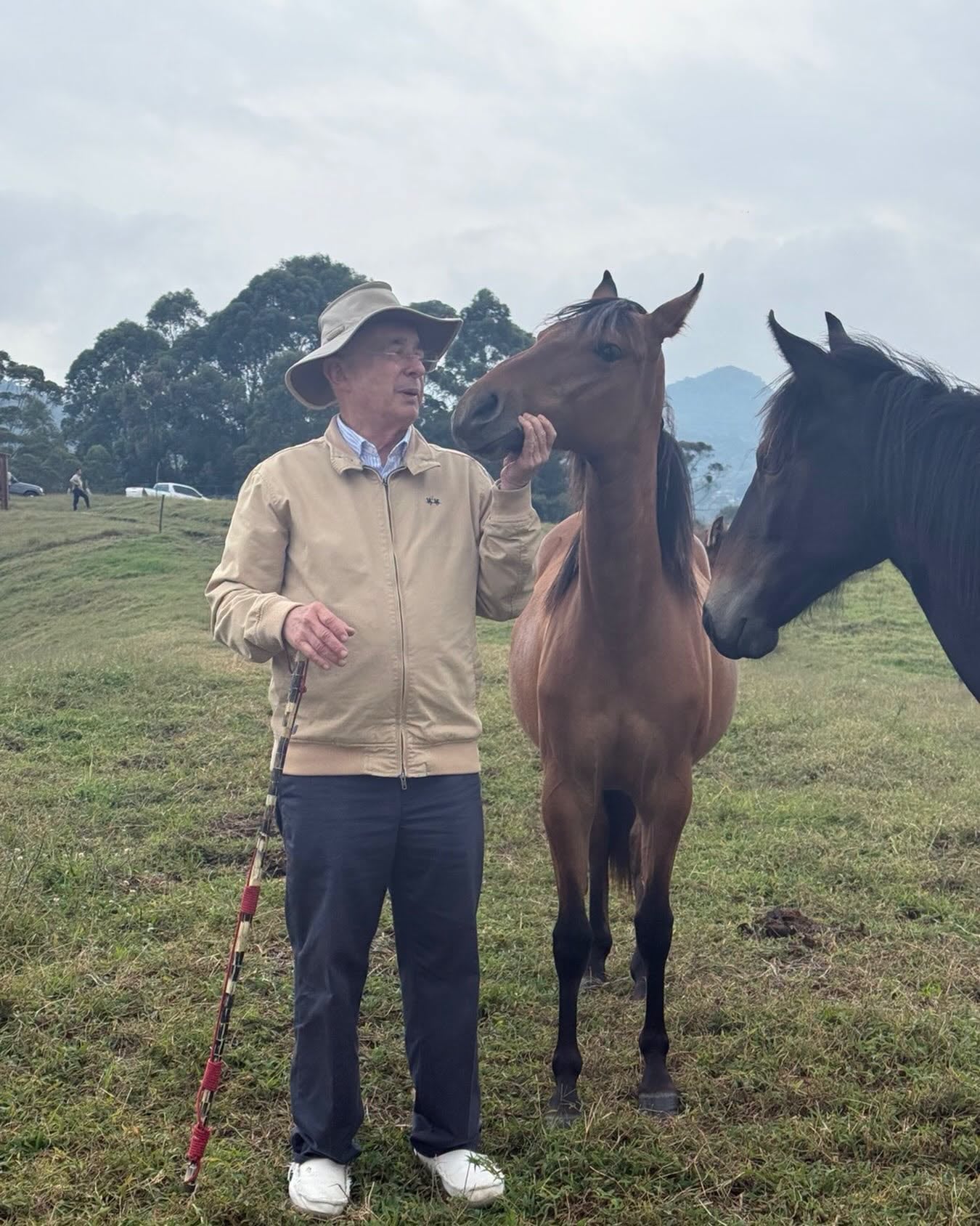 Álvaro Uribe compartió una imagen junto a “Sor Pechiche”, uno de los caballos vinculados a la iniciativa para apoyar la reconstrucción de parroquias afectadas por el terremoto - crédito Álvaro Uribe Vélez/Facebook