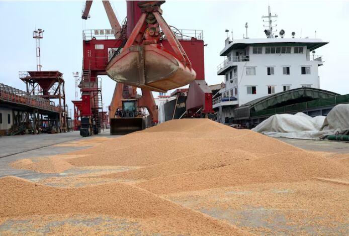El estancamiento en las compras de soja estadounidense genera malestar entre agricultores y afecta la base electoral de Trump (REUTERS/ARCHIVO)