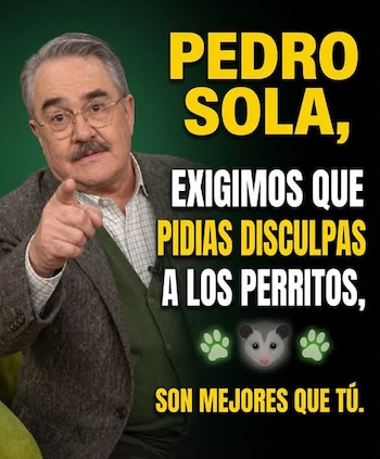 Pedro Sola memes