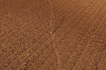 El 58,5% del territorio mexicano