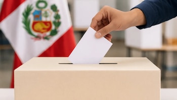Cómo pagar una multa electoral por internet, paso a paso