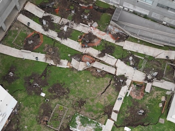 La empresa COSUD implementó tareas