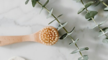 El eucalipto es un potente