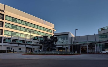 Fachada de edificio moderno de cristal con texto "MARTIN LUTHER KING, JR. MEDICAL CAMPUS". Escultura abstracta, autos y cielo azul claro