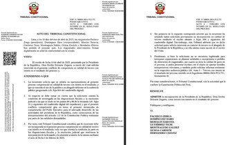 Resolución que admite participación de