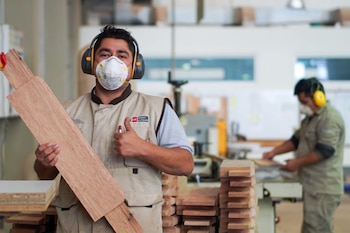 Las mypes desempeñan un papel clave en la economía del Perú. De acuerdo con el Observatorio PRODUCEmpresarial, constituyen el 99,3% del universo empresarial.