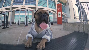 Fue el sucesor de Swagger,