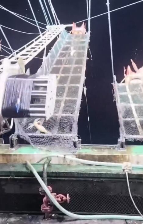 Pescadores estaban obligados a trabajar 16 horas sin descanso y con apenas un litro y medio de agua. Créditos: El Foco / X