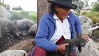 Pareja de ancianos pierde más