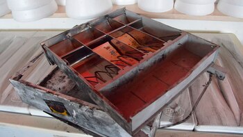 Los delincuentes se llevaron la