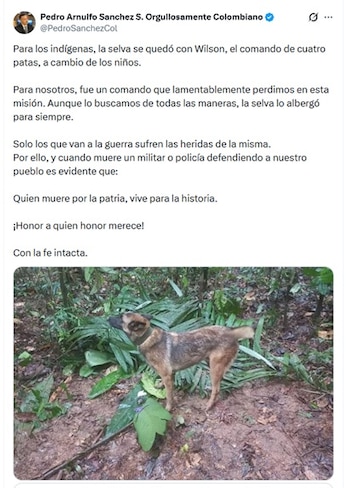 - créditos @PedroSanchezCol/X