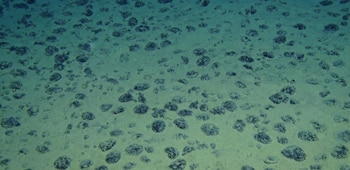 Los depósitos del fondo oceánico