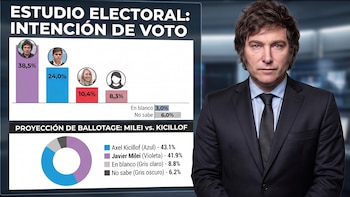 Los 1000 días de Milei: el Gobierno llega con su peor valoración, malestar económico pero conserva su piso electoral