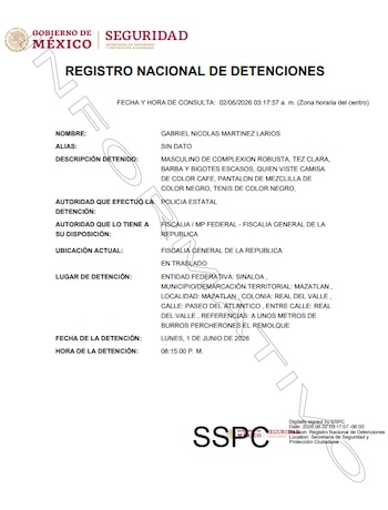 (Registro Nacional de Detenciones)
