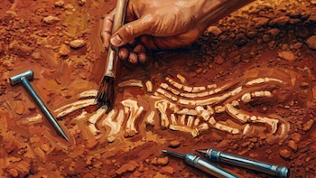 Analizan fósiles de 309 millones de años y hallan un dato clave sobre la evolución de animales vertebrados