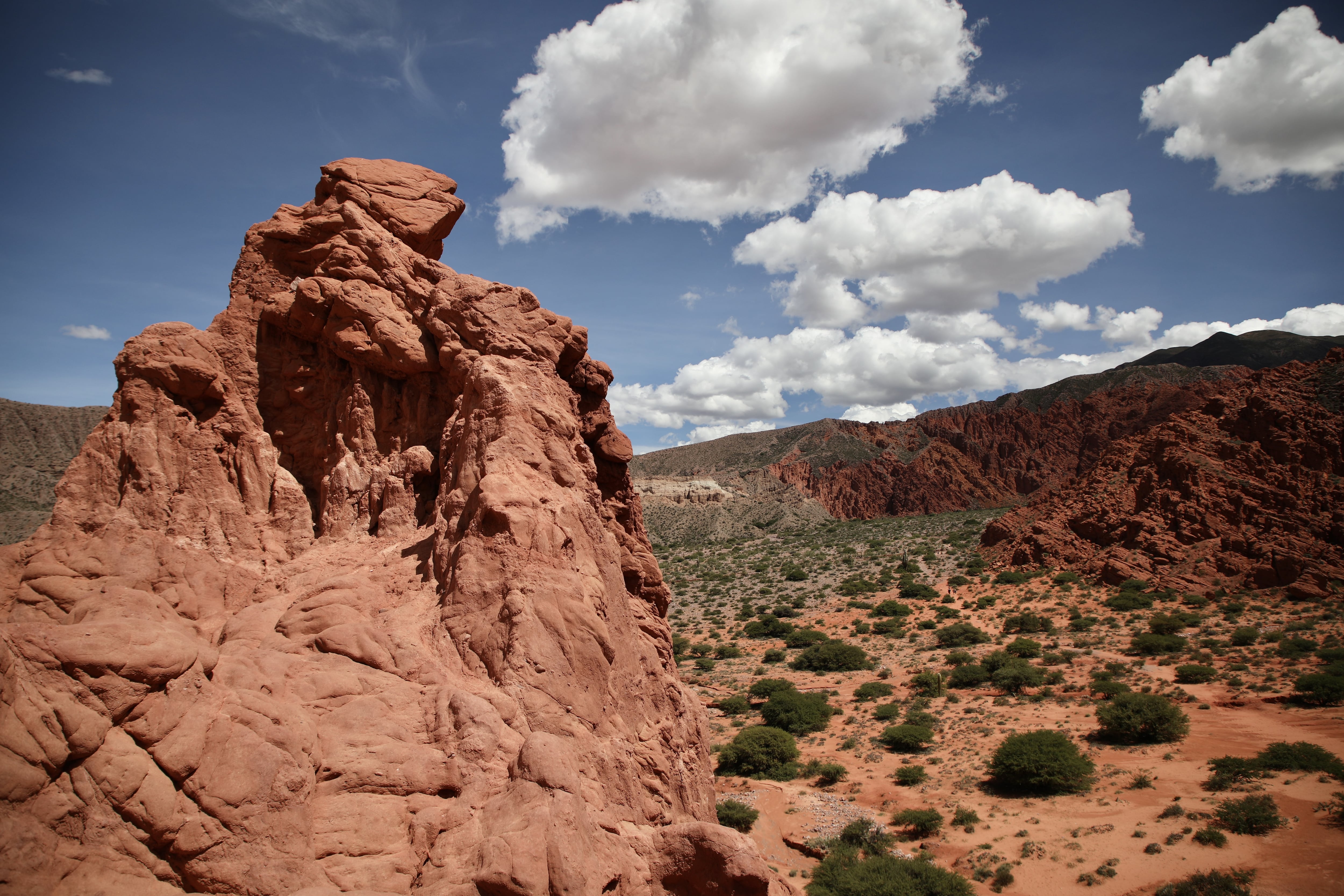 La policía y personal de emergencias hallaron el cuerpo del hombre a un kilómetro de la ruta, mientras su acompañante quedó en estado de conmoción. (Photo by Apolline Guillerot-Malick / SOPA Images/Sipa USA)