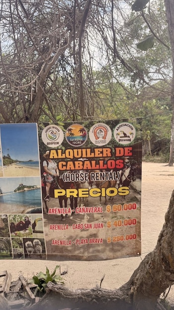 El precio de renta de los caballos para recorridos turísticos empieza desde los 40 mil pesos por trayecto - crédito Marcha Nacional Por Los Animales De Colombia 2026 / Facebook