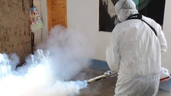 Especialista pide fumigación luego de