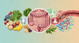 Cómo cuidar el intestino: tres hábitos diarios que recomiendan los expertos