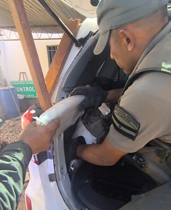 Efectivos de Gendarmería sacando uno