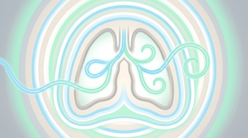 Pulmón humano estilizado con líneas sinuosas de aire en azul y verde. Ondas concéntricas de colores pastel como verde menta, azul celeste, blanco y beige.