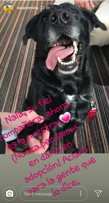 "Nala, su fiel compañera, ahora
