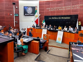 Ana Lilia Rivera propone regenerar