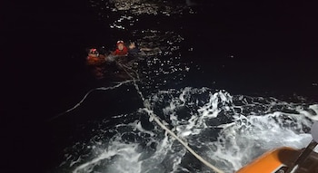 Los cuerpos de seguridad de