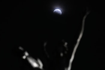La Luna entra en la umbra de la Tierra durante un eclipse lunar parcial, sobre una estatua en el Palacio de Bellas Artes de la Ciudad de México, el 27 de agosto de 2026 (Yuri CORTEZ/AFP)