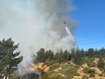 Megaincendio en Chile destruye importante reserva natural y altas temperaturas aumentan el riesgo de propagarse