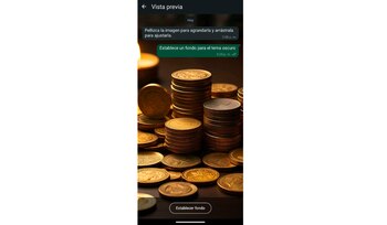 Es recomendable que la imagen