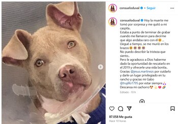 A pesar de su dolor,