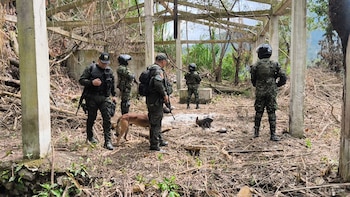 Hallan depósito ilegal con 30