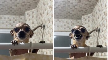 Desde el inicio del video