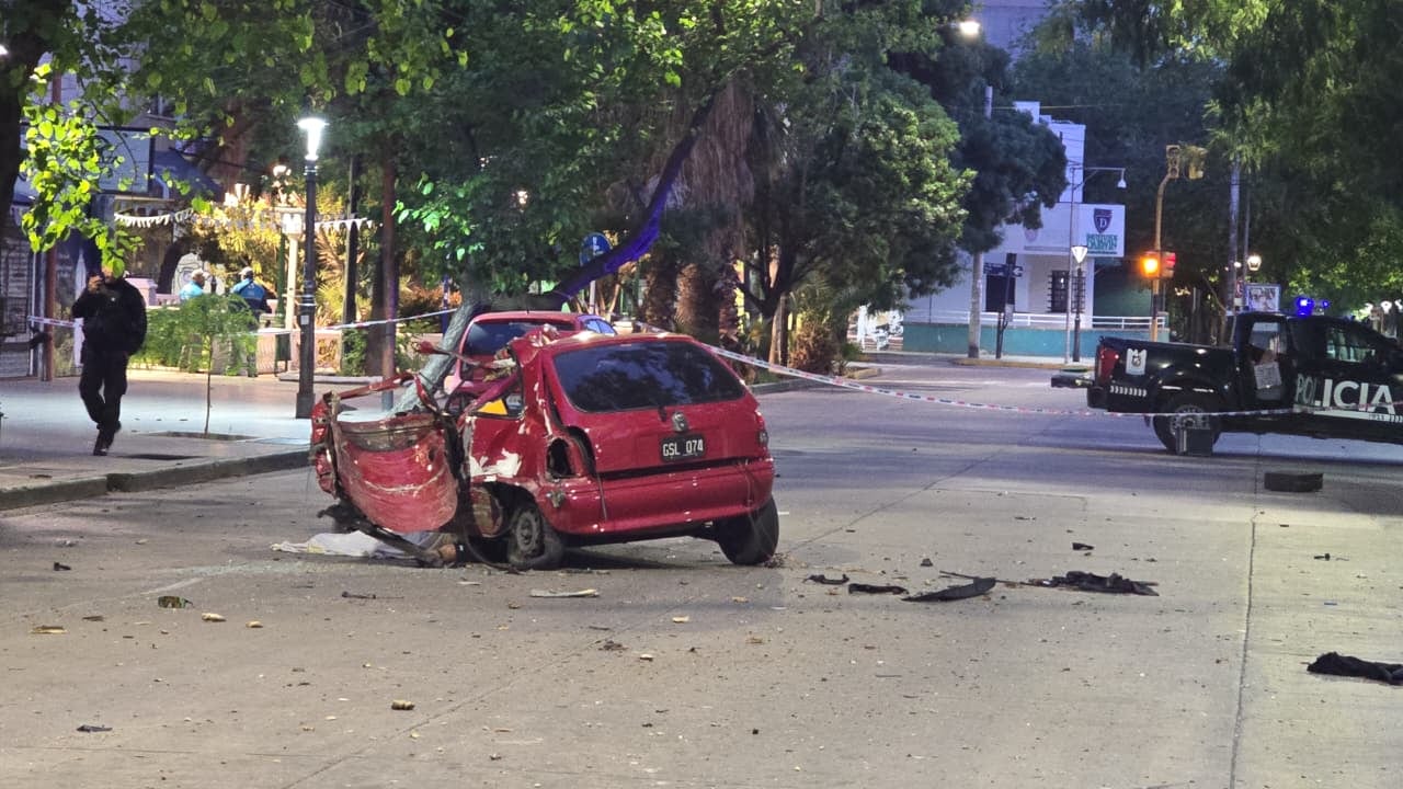 Un joven de 21 años murió tras chocar contra un árbol luego de eludir un control policial en la ciudad de Mendoza (Ministerio de Seguridad Mendoza)