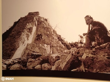 La curaduría estuvo a cargo