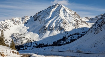 Una carretera serpenteante atraviesa un