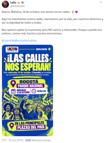 Lalis confirmó su participación en la movilización del 14 de octubre por la vida y los derechos - crédito @smilelalis/X