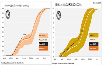 Maíz y girasol: evolución de la siembra del ciclo agrícola 2026/27 a octubre de 2026