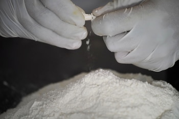 A member of the Sinaloa