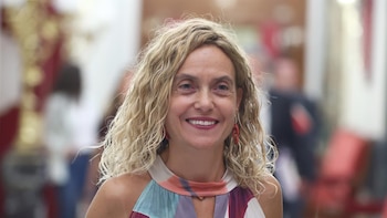 Meritxell Batet afirma que en dos años no ha visto las sesiones del Congreso: "Me dolía demasiado"
