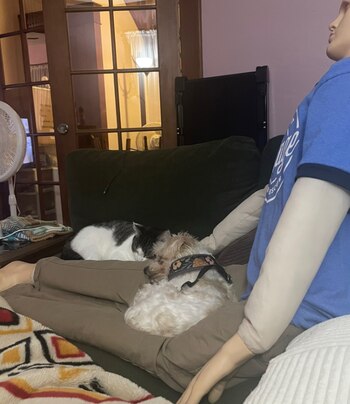 La dueña de Gus recurrió