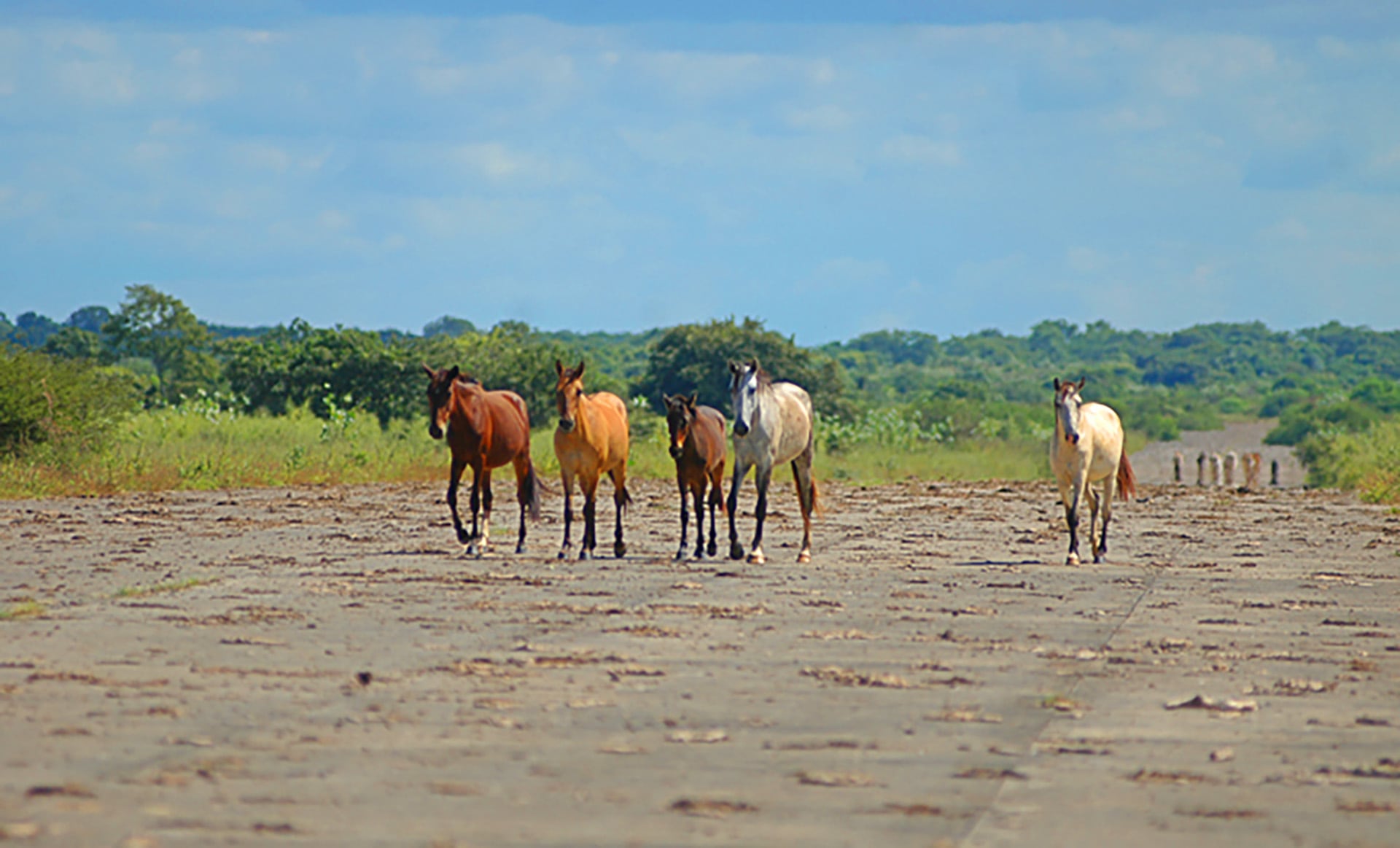 En enero de 2006, la revista nicaragüense Magazine visito Punta Huete y encontró la pista abandonada (Foto Magazine/La Prensa)