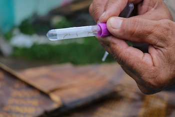 Panamá acumula 10,419 casos de dengue hasta la semana epidemiológica 39 de 2026, según el Ministerio de Salud. Cortesía MINSA
