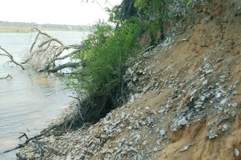 Turistas hallaron restos humanos en