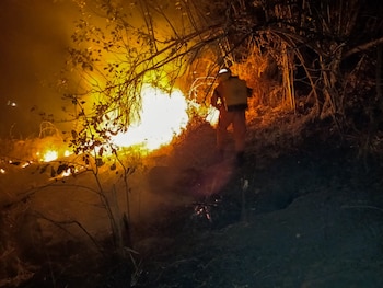 Tareas exhaustivas se desarrollaron en