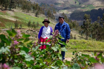 Una mujer con sombrero y pollera y un hombre con chaqueta azul y credencial se encuentran de pie en un sembradío frente a montañas verdes