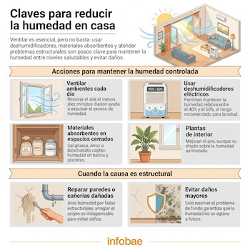 Infografía sobre cómo reducir la humedad en casa. Ilustra ventilación, deshumidificadores, absorbentes, plantas y reparación de daños estructurales.